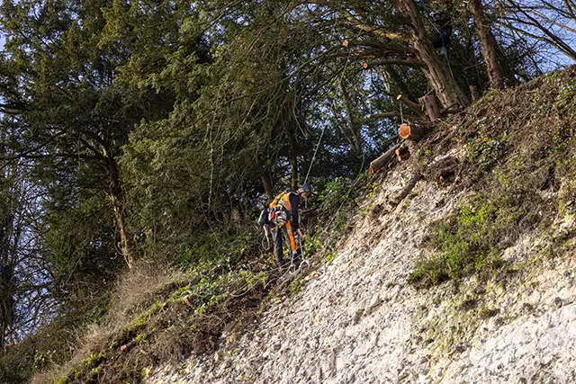 cordistes d'acrobat effectuant un travail en hauteur d'élagage d'arbre au bord d'une falaise