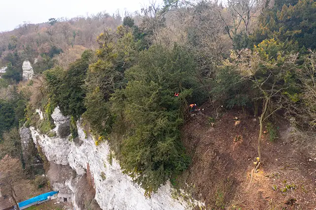 cordistes d'acrobat effectuant un travail en hauteur d'élagage d'arbre au bord d'une falaise